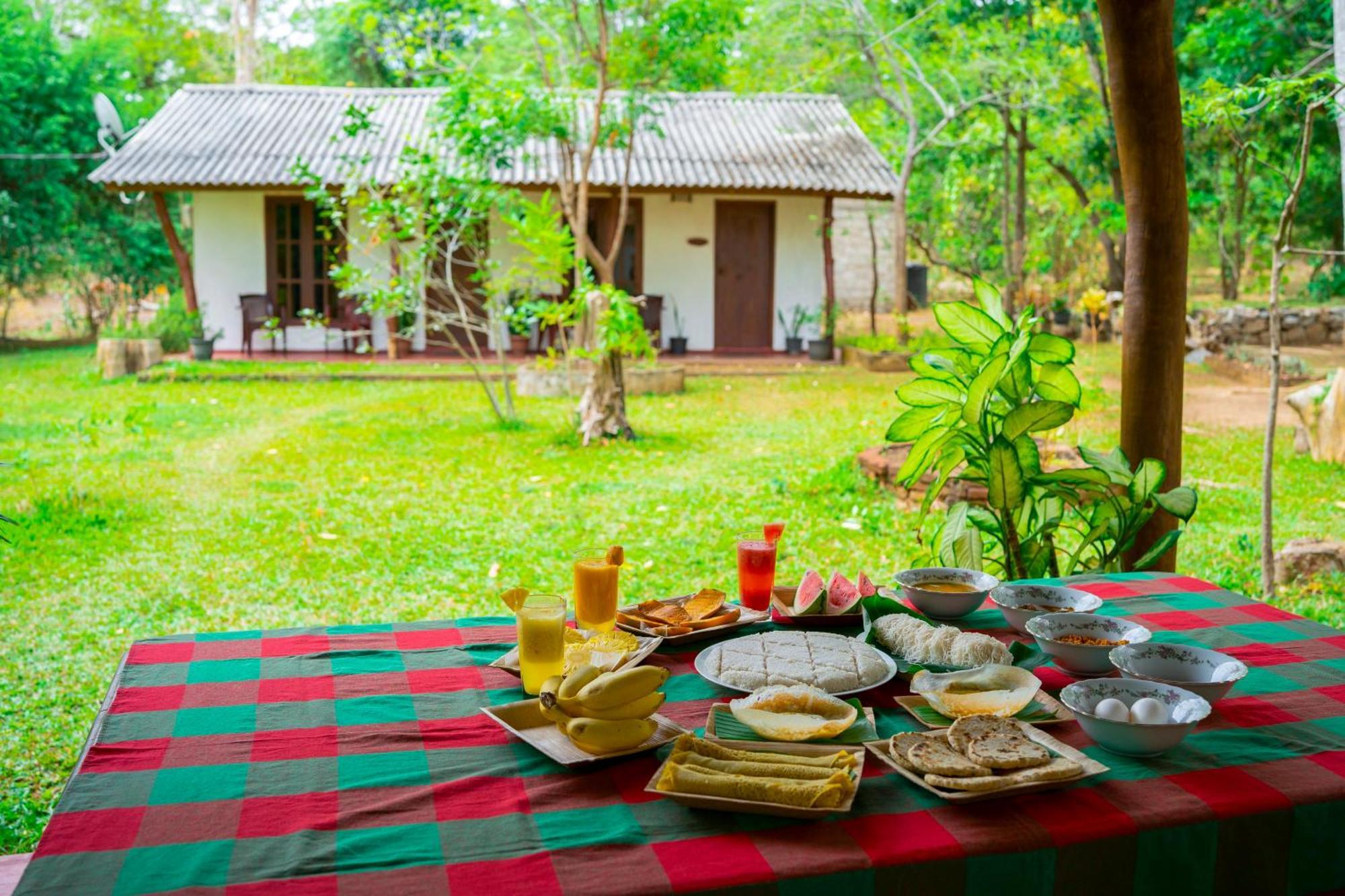 Wild Hut Habarana Bed & Breakfast Exterior photo