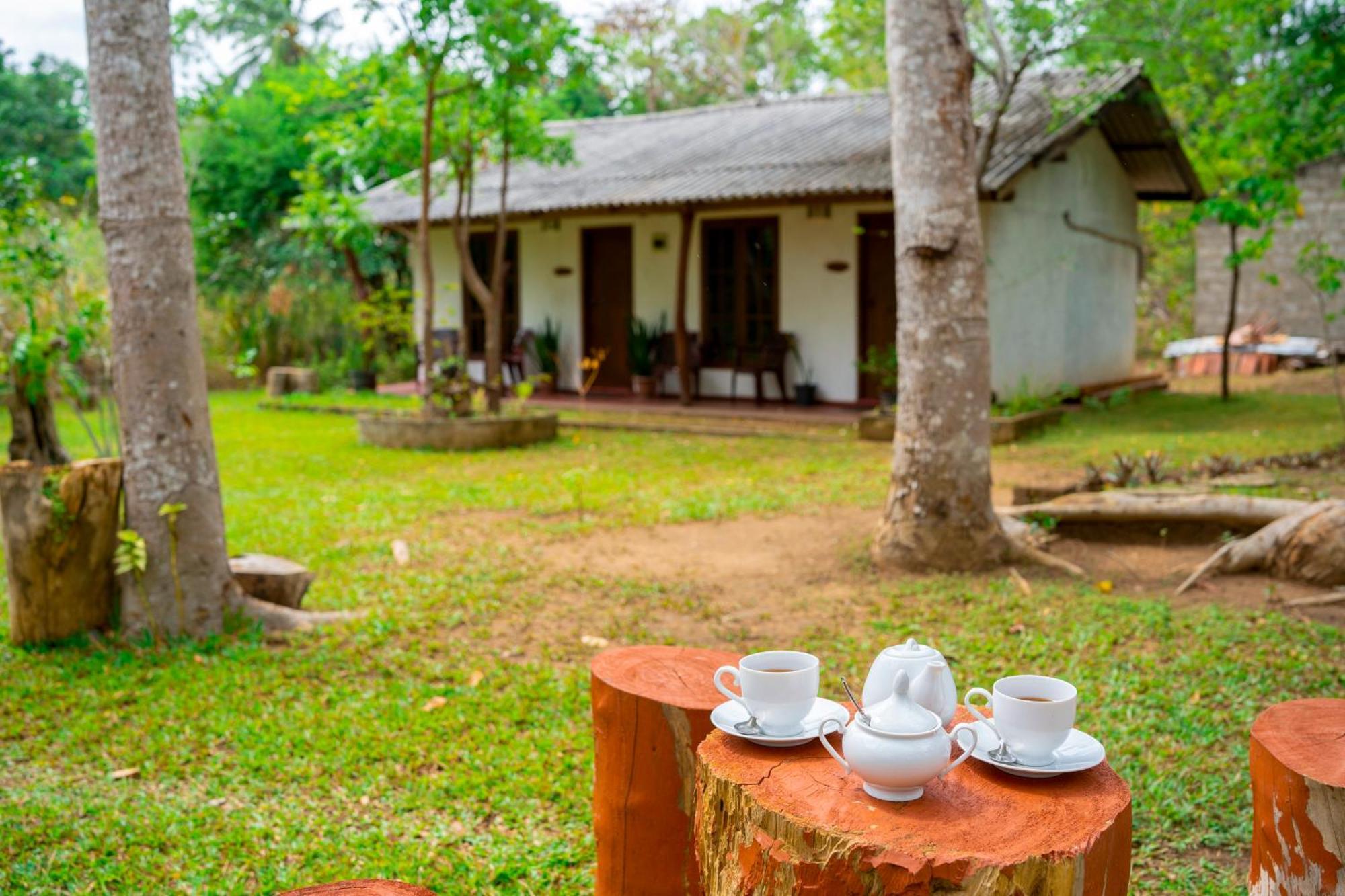 Wild Hut Habarana Bed & Breakfast Exterior photo